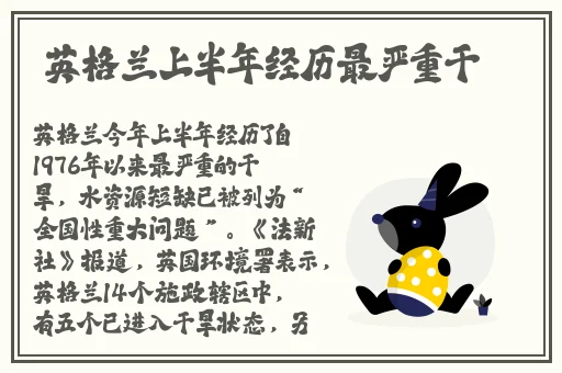 网爆门不打烊